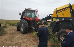 2019年，內(nèi)蒙奈吉牧草有限公司，采購(gòu)一臺(tái)Anderson檸條平茬機(jī)